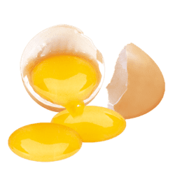 vitamina b8 tuorlo d'uovo