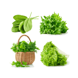 vitamina b9 verdure a foglia verde
