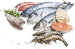 vitamina f alimenti pesci e crostacei